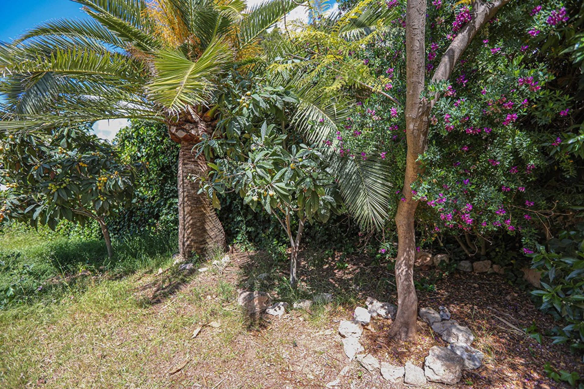 Reventa - Villa - Costa d’en Blanes