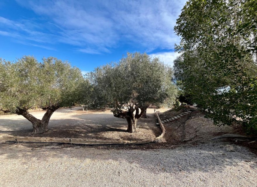 Reventa - Villa - El Esparragal - Inland