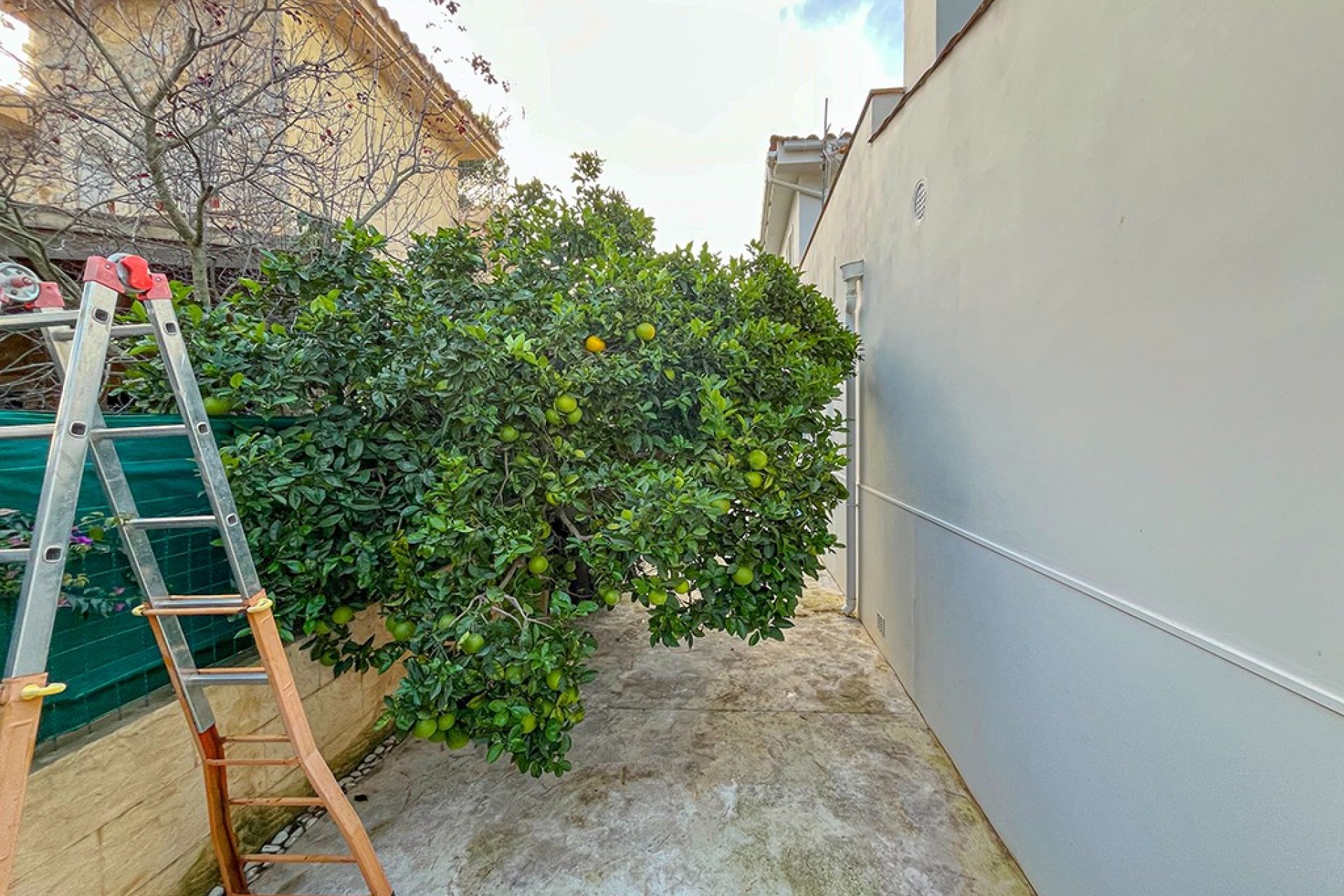 Reventa - Villa - El Toro