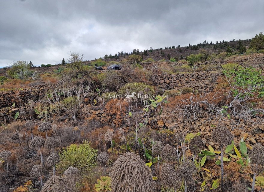 Reventa - Villa - Guia De Isora - Chío
