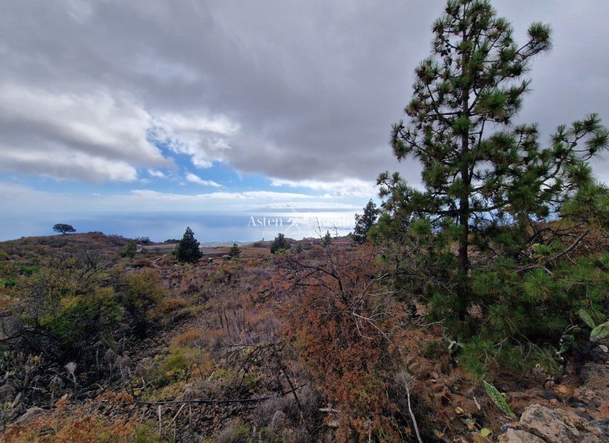Reventa - Villa - Guia De Isora - Chío