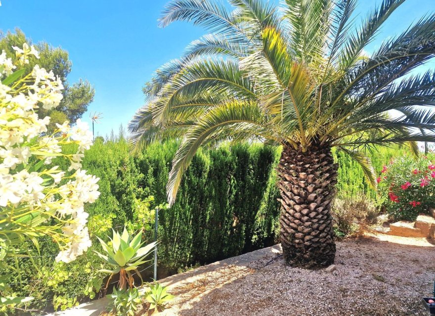 Reventa - Villa - Jávea - Jávea/Xàbia