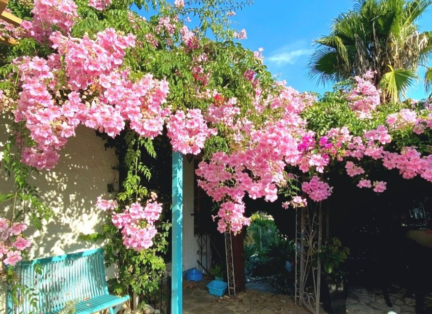 Reventa - Villa - Jávea - Jávea/Xàbia