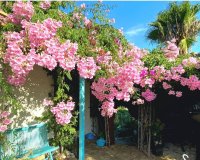 Reventa - Villa - Jávea - Jávea/Xàbia