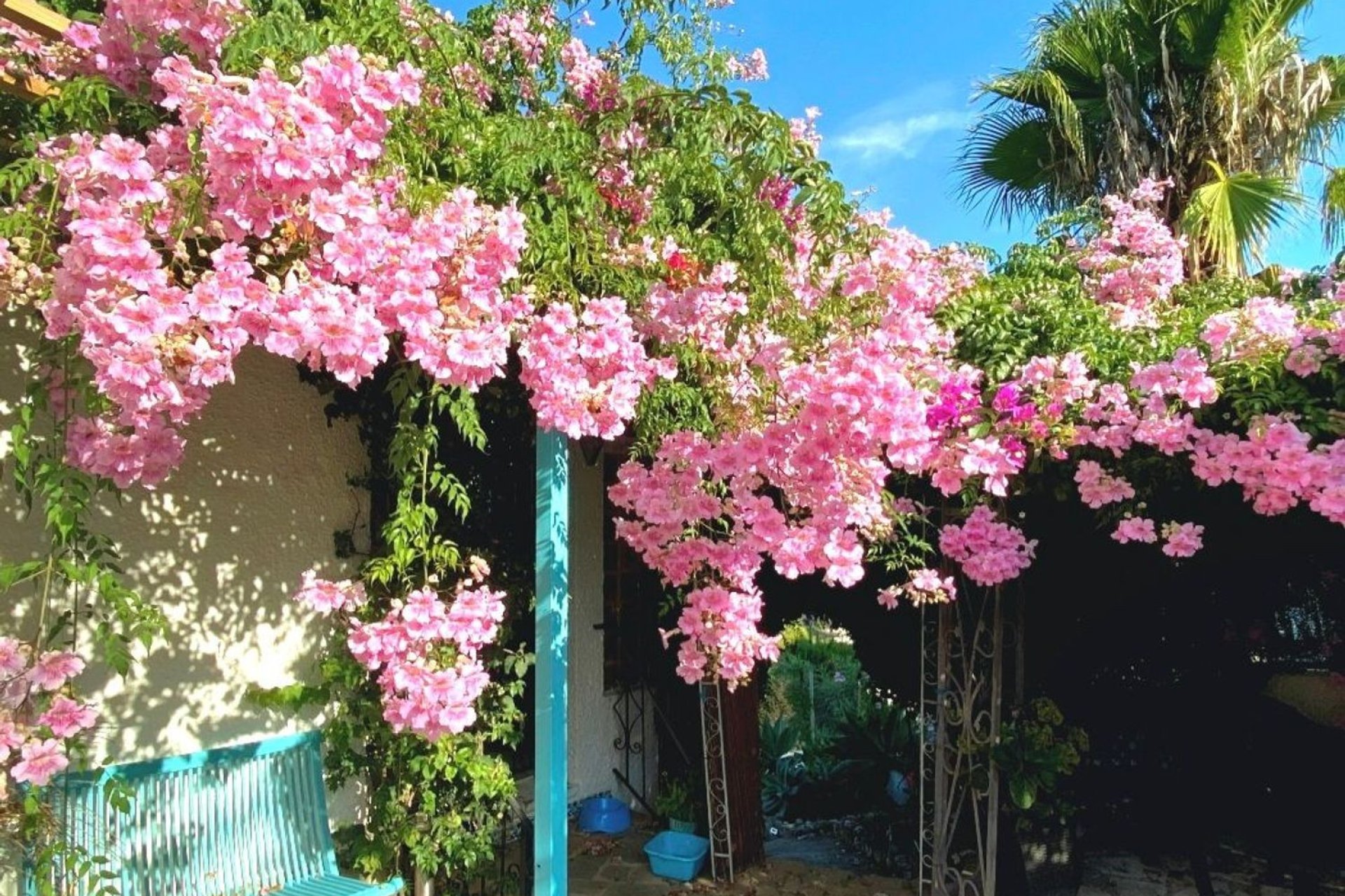 Reventa - Villa - Jávea - Jávea/Xàbia