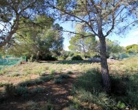 Reventa - Villa - Orihuela Costa - Mil Palmeras