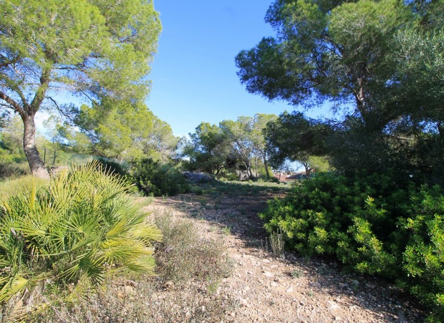 Reventa - Villa - Orihuela Costa - Mil Palmeras