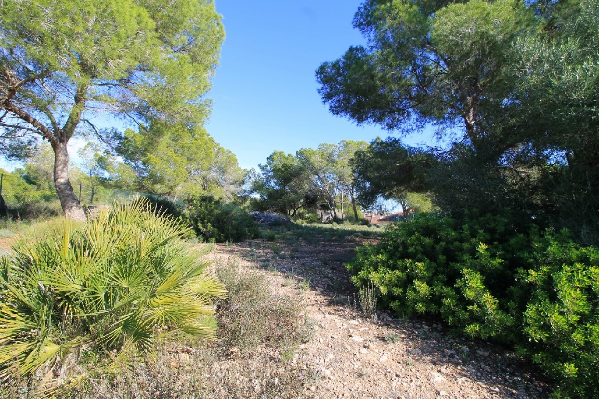 Reventa - Villa - Orihuela Costa - Mil Palmeras