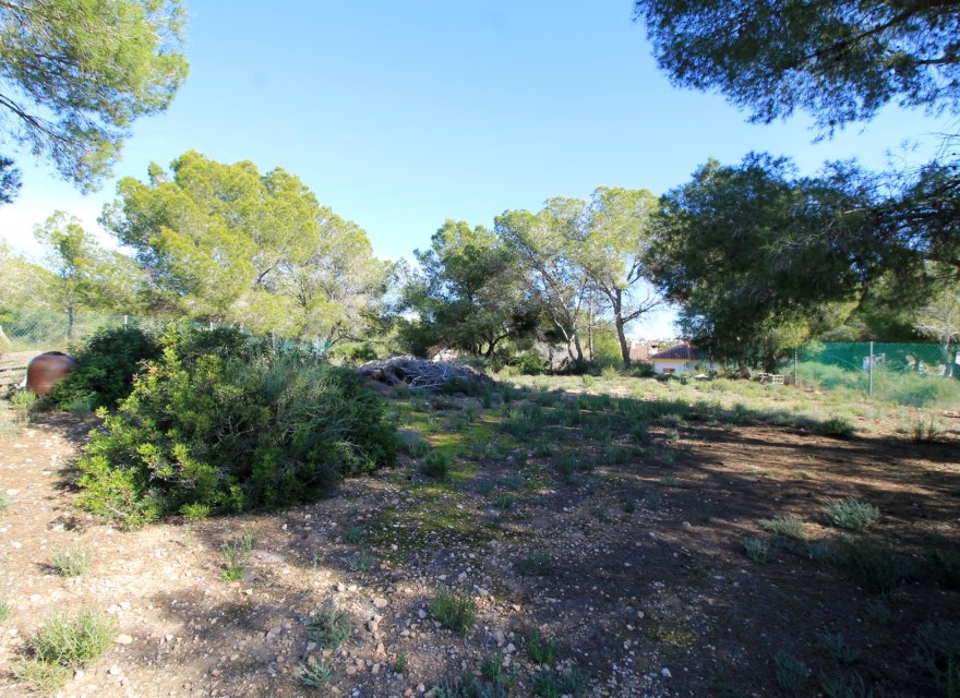 Reventa - Villa - Orihuela Costa - Mil Palmeras