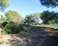 Reventa - Villa - Orihuela Costa - Mil Palmeras