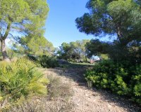 Reventa - Villa - Orihuela Costa - Mil Palmeras