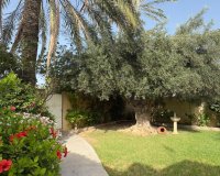 Reventa - Villa - Orihuela Costa - Punta Prima