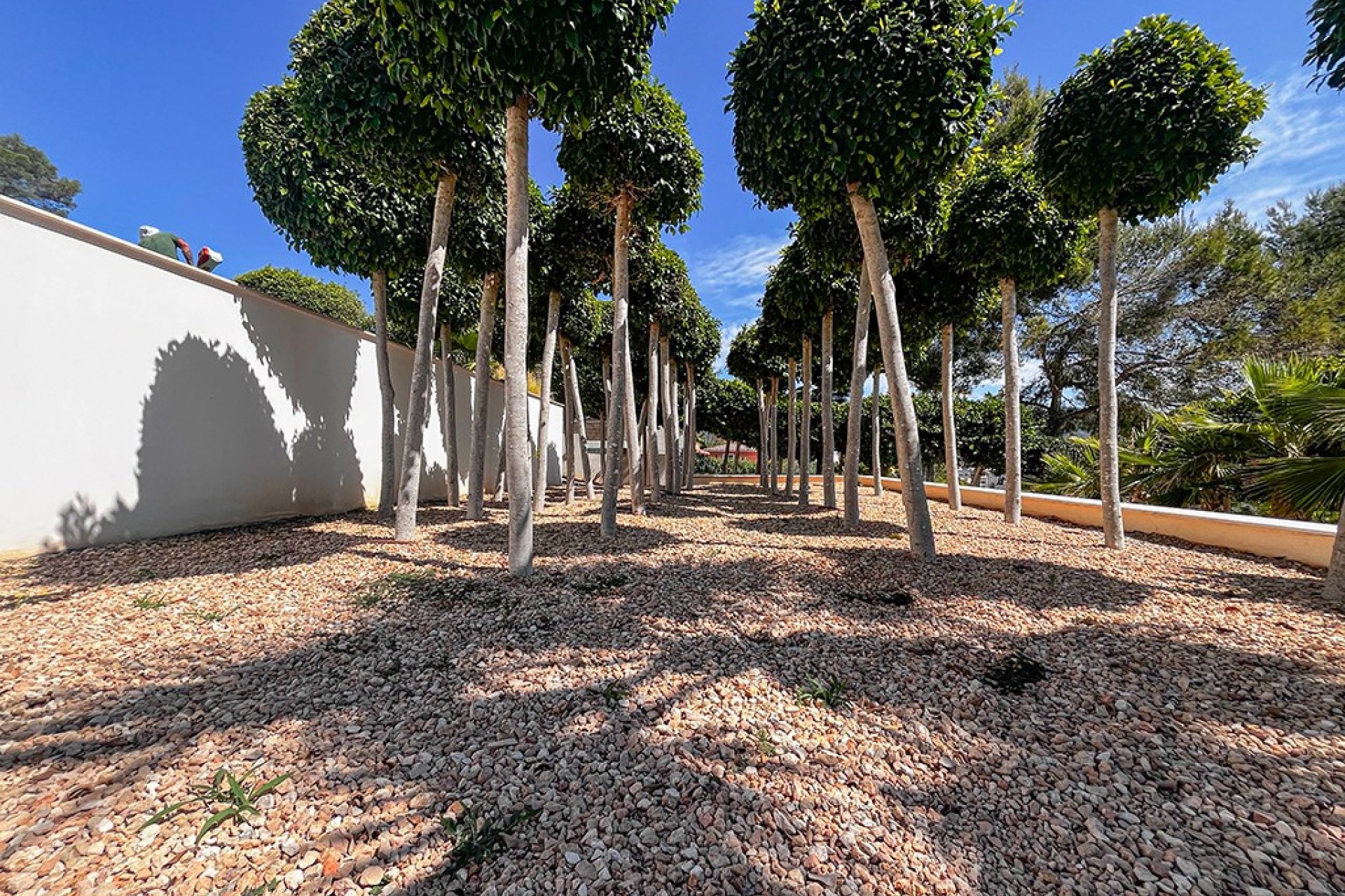 Reventa - Villa - Palmanova