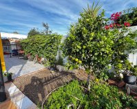 Reventa - Villa - Punta Prima