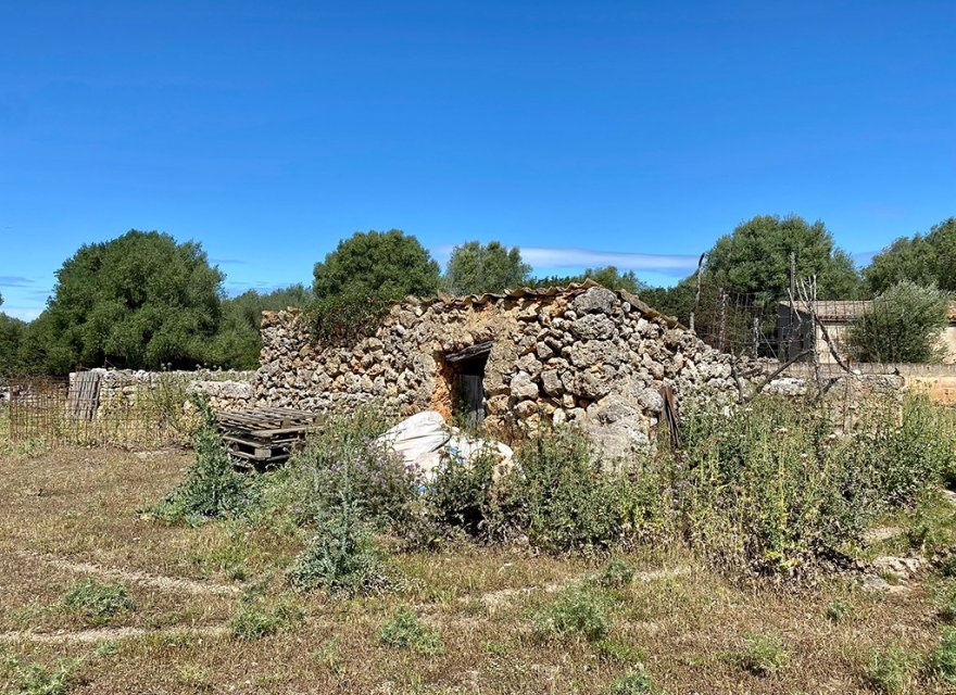 Reventa - Villa - Sineu