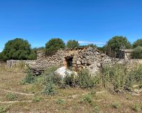 Reventa - Villa - Sineu