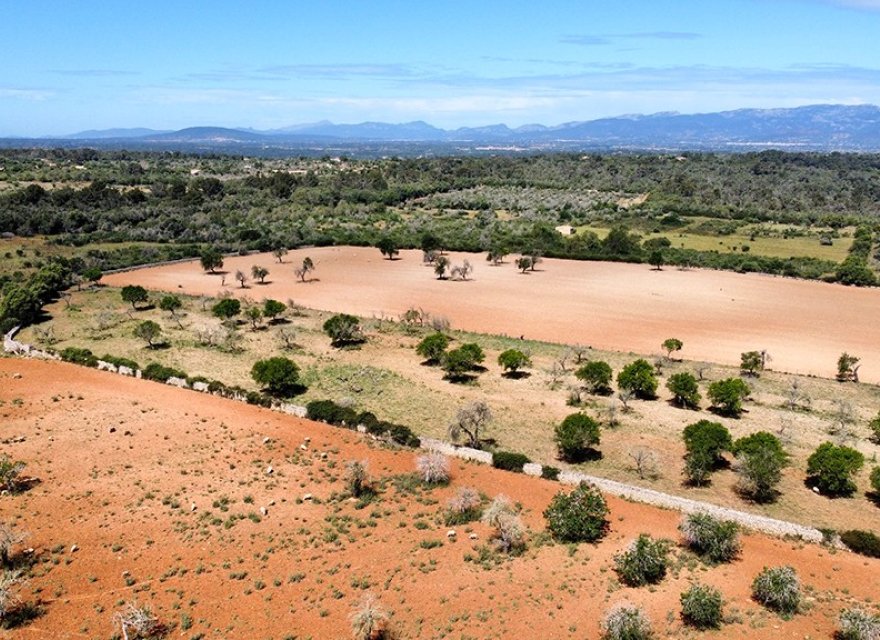 Reventa - Villa - Sineu