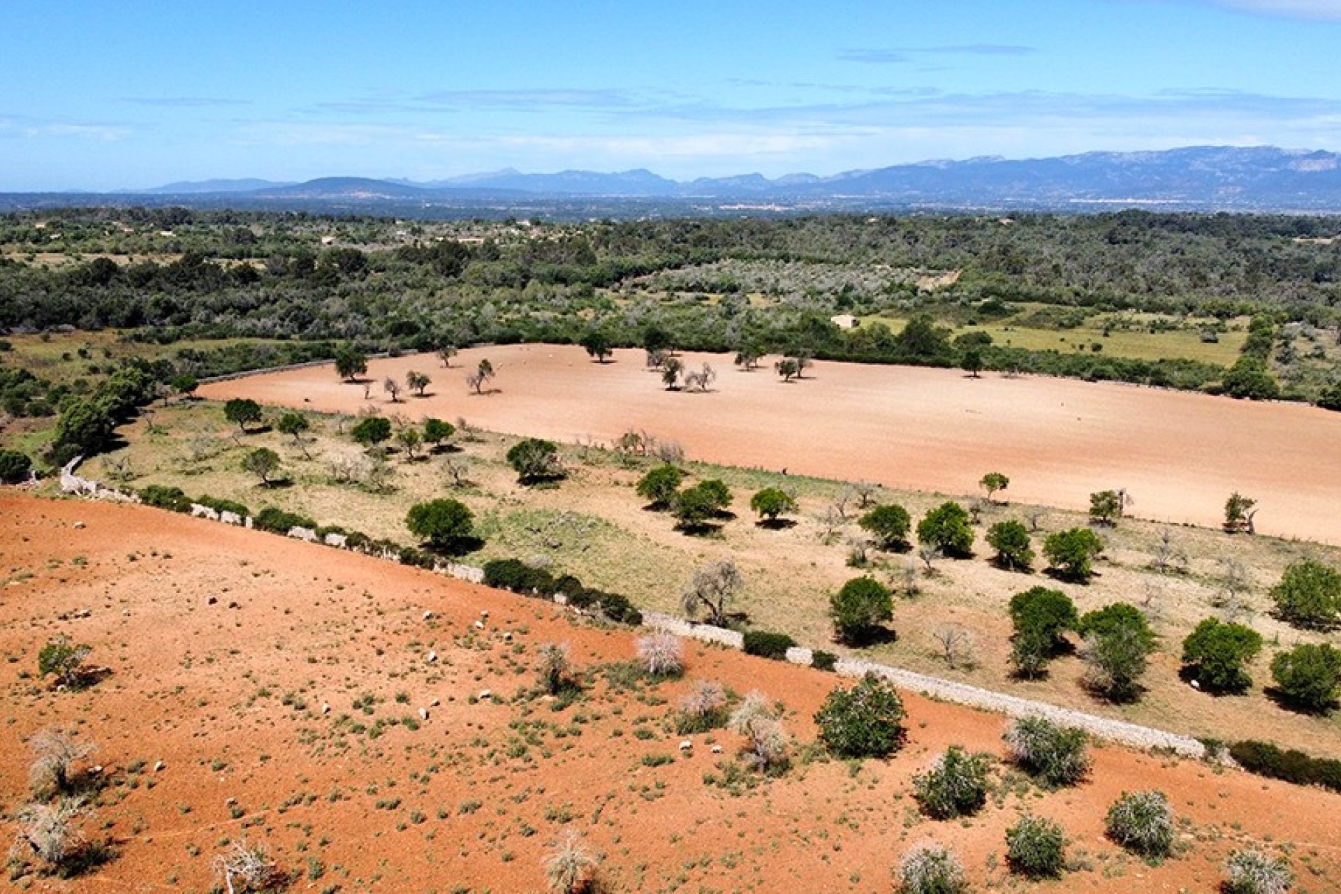 Reventa - Villa - Sineu