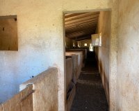 Reventa - Villa - Sineu