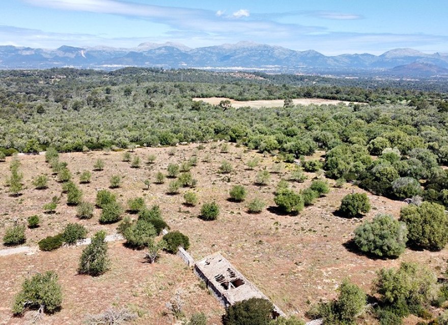 Reventa - Villa - Sineu