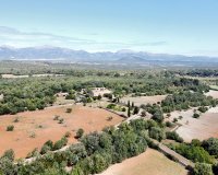 Reventa - Villa - Sineu