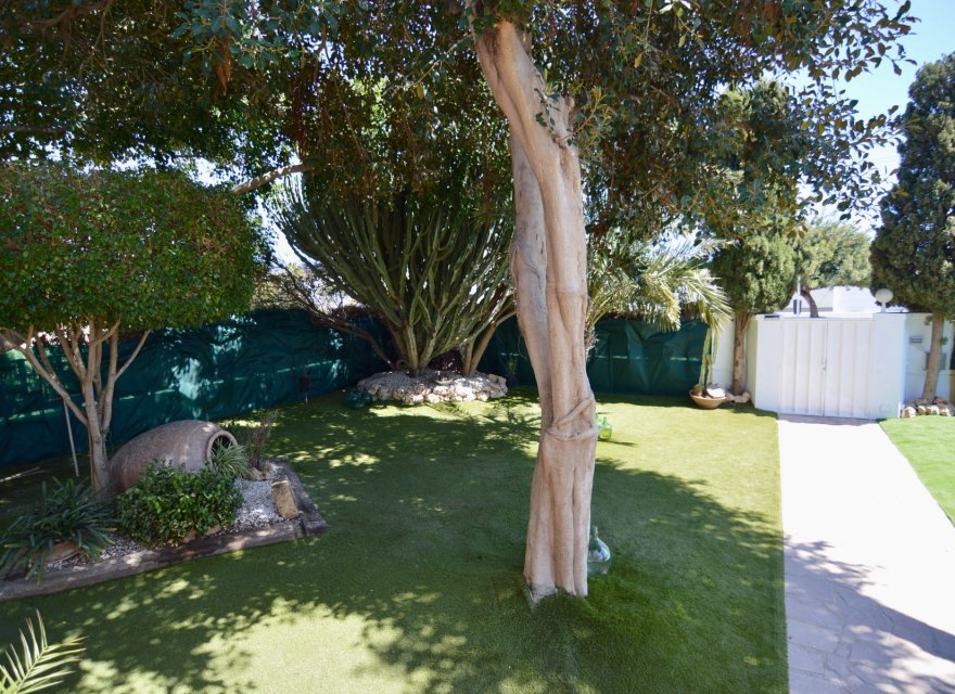 Reventa - Villa - Torrevieja - Torreta