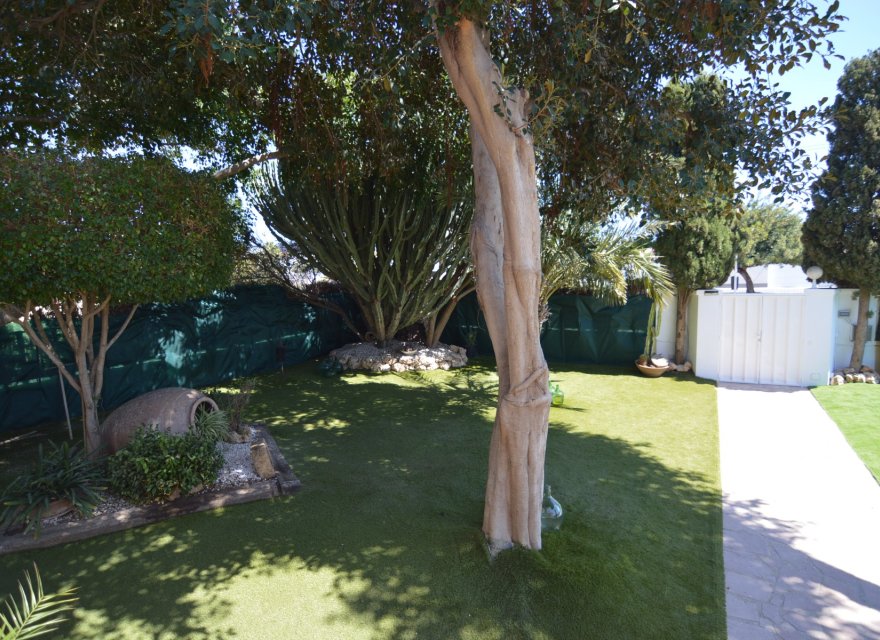 Reventa - Villa - Torrevieja - Torreta